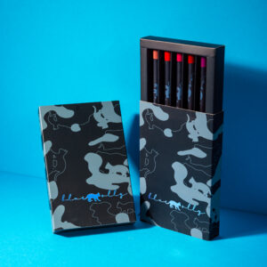 Slide Box of 5 Lip Crayon Set